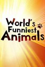 Watch The World\'s Funniest Animals Megashare9