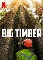 Watch Big Timber Megashare9