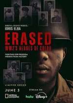 Watch Erased: WW2's Heroes of Color Megashare9