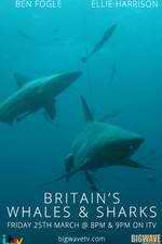 Watch Britain's Whales and Sharks Megashare9