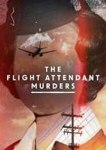 Watch The Flight Attendant Murders Megashare9