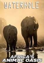Watch Waterhole: Africa's Animal Oasis Megashare9