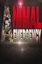 Watch Animal Emergency Megashare9