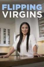 Watch Flipping Virgins Megashare9