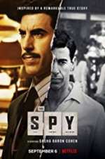 Watch The Spy Megashare9