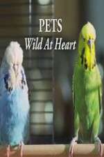 Watch Pets - Wild at Heart Megashare9