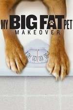 Watch My Big Fat Pet Makeover Megashare9
