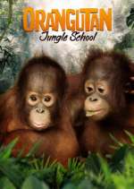 Watch Orangutan Jungle School Megashare9