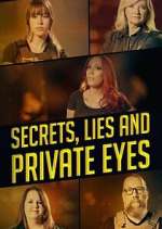 Watch Secrets, Lies and Private Eyes Megashare9