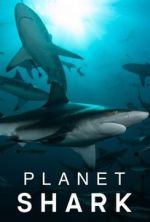 Watch Planet Shark Megashare9