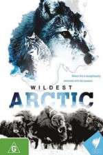 Watch Wildest Arctic Megashare9