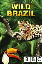 Watch Wild Brazil Megashare9