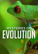 Watch Mysteries of Evolution Megashare9