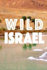 Watch Wild Israel Megashare9