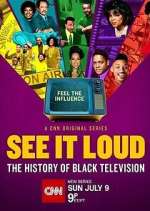 Watch See It Loud: The History of Black Television Megashare9