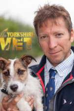 Watch The Yorkshire Vet Megashare9