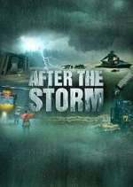 Watch After the Storm Megashare9