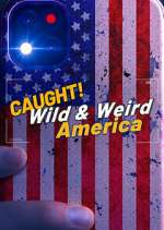 Watch Wild & Weird America Megashare9