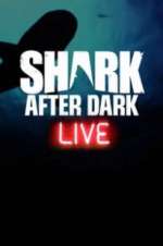 Watch Shark After Dark Megashare9