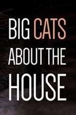 Watch Big Cats About the House Megashare9