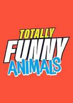 Watch Totally Funny Animals Megashare9
