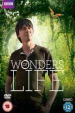 Watch Wonders Of Life Megashare9