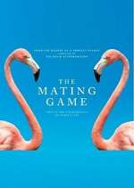 Watch The Mating Game Megashare9