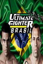 Watch The Ultimate Fighter - Brasil Megashare9