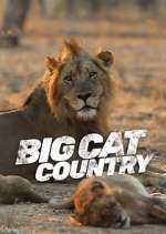Watch Big Cat Country Megashare9