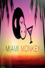 Watch Miami Monkey Megashare9
