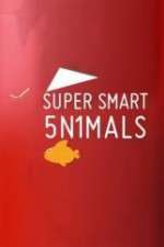 Watch Super Smart Animals Megashare9