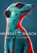 Watch Meerkat Manor: Rise of the Dynasty Megashare9