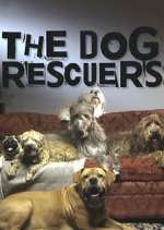 Watch The Dog Rescuers with Alan Davies Megashare9