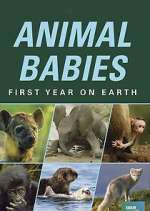 Watch Animal Babies: First Year on Earth Megashare9