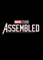Watch Marvel Studios: Assembled Megashare9