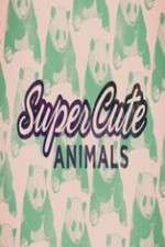 Watch Super Cute Animals Megashare9