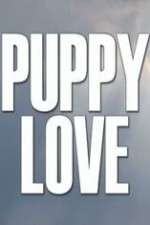 Watch Puppy Love Megashare9