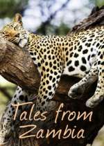 Watch Tales from Zambia Megashare9