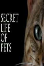 Watch The Secret Life of Pets Megashare9
