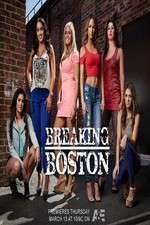 Watch Breaking Boston Megashare9