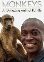 Watch Monkeys: An Amazing Animal Family Megashare9