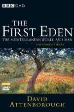 Watch The First Eden Megashare9