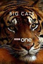 Watch Big Cats Megashare9