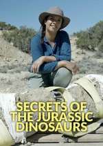 Watch Secrets of the Jurassic Dinosaurs Megashare9