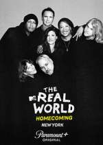 Watch The Real World Homecoming Megashare9