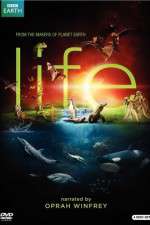 Watch Life Megashare9