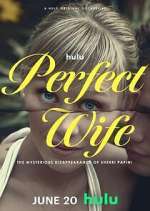 Watch Perfect Wife: The Mysterious Disappearance of Sherri Papini Megashare9