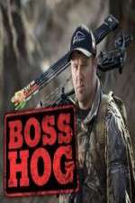 Watch Boss Hog Megashare9