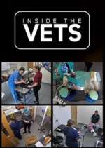 Watch Inside the Vets Megashare9