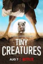 Watch Tiny Creatures Megashare9